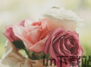 19楼女性阅读 (图1)