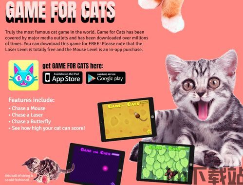 加菲猫宠物医院 (图3) 加菲猫宠物医院 (图3)