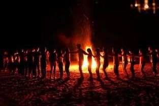 火把烧木头 (图3)