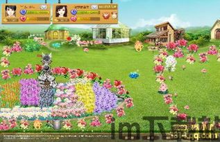 玫瑰小说 (图3) 玫瑰小说 (图3)