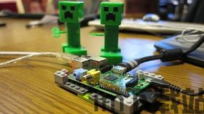 树莓阅读树莓阅读app免费下载 (图3)